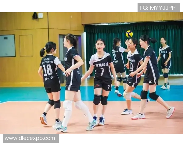 南京排球队最新比赛经验分享排球赛场的十个成功秘诀