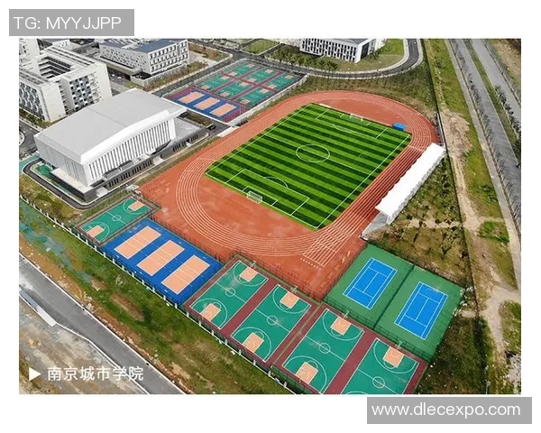 南京羽毛球队防守分析：优劣势与改进方向探讨