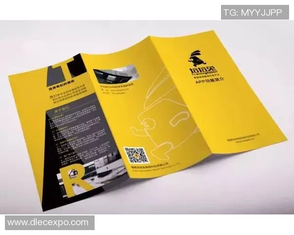 广州排球队运营分析：成功经验与不足之处的深度探讨