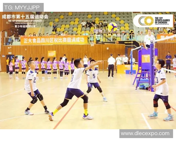 成都排球队比赛经验的创新与变革引发热议