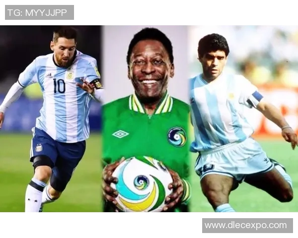 法国足球明星因咬人事件引发争议球迷热议职业道德与体育精神